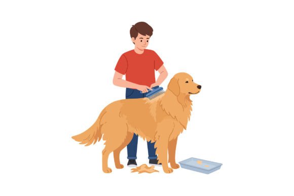 Boy Grooming Golden Retriever Dog Brushi Graphics and Illustrations