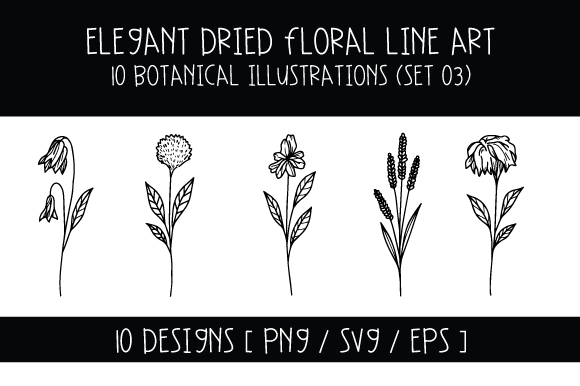 Elegant Dried Floral Line Art Set 03 Graphics for Decorative Elements