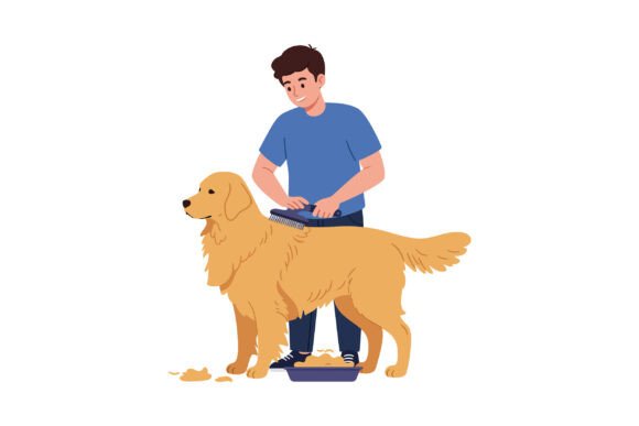 Man Grooming Golden Retriever Dog Brushi