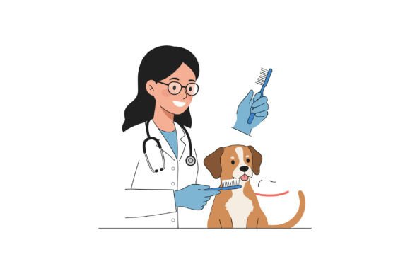 Veterinarian Brushing a Dogs Fur with a Graphics and Illustrations