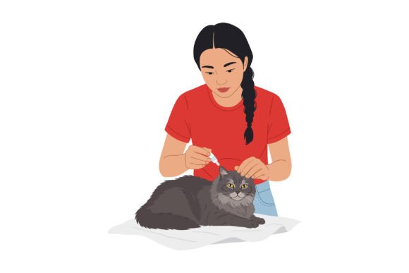 Young Woman Grooming Gray Cat with Comb Graphics